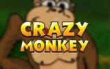 Спеши поиграть в гаминатор Crazy Monkey без необходимости скачать