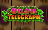 Играем в гаминатор Bush Telegraph в хорошем качестве